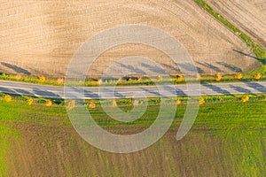 Road between green field and cultivated ground with yellow trees at sunset in autumn. Aerial view on empty asphalt speedway or.