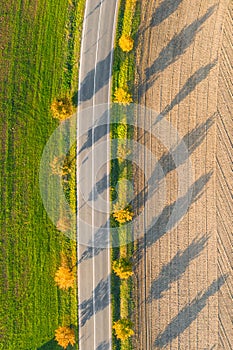 Road between green field and cultivated ground with yellow trees at sunset in autumn. Aerial view on empty asphalt speedway or.