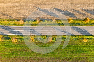 Road between green field and cultivated ground with yellow trees at sunset in autumn. Aerial view on empty asphalt speedway or.