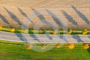 Road between green field and cultivated ground with yellow trees at sunset in autumn. Aerial view on empty asphalt speedway.