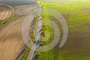 Road between green field and cultivated ground with yellow trees at sunset in autumn. Aerial view on speedway or trees alley..