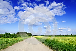 Road among green fields