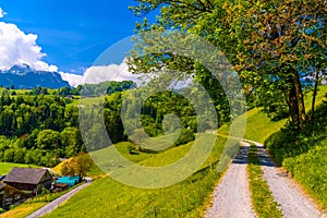 Road among green fields, Grabs, Werdenberg, St. Gallen Switzerland