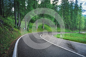 Road in green forest in rainy summer day. Mountain roadway