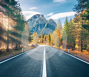 Road in green forest at sunset in summer in Italy. Roadway