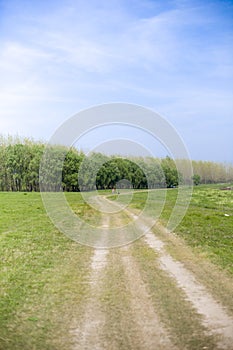 Road on green grassland