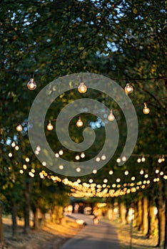 road in green park decorated with vintage tungsten light bulbs, Lublin bay Zalew