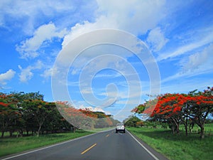 Road in Guanacaste Costa Rica, tourism