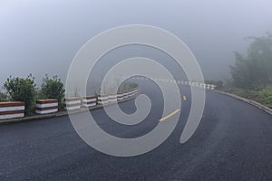 Road in heavy fog