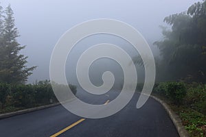 Road in heavy fog