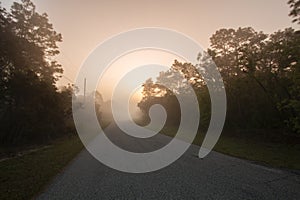 A road in heavy fog at daybreak