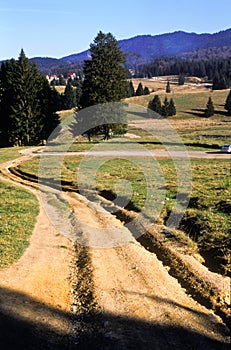 Road on hillside