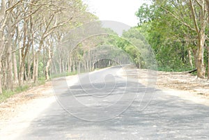 Road