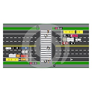 Road infographics. Plot road, highway, street. Crossing. With different cars.
