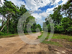 A road inside the Bankura Forest or Joypur Forest, a reserved forest in West Bengal, India.