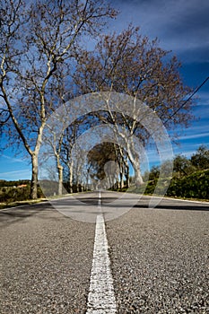 Road inside Portgual