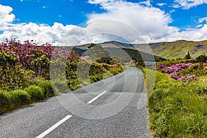 Road in Ireland