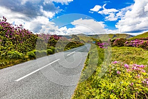 Road in Ireland