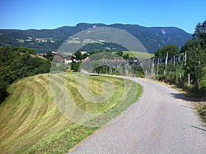 Road in the Italian Alps