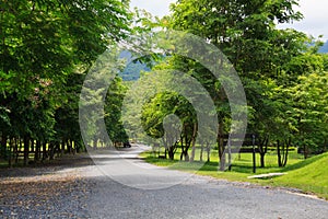 Road in Jedkod Pongkonsao Natural Study and Ecotourism Center, S