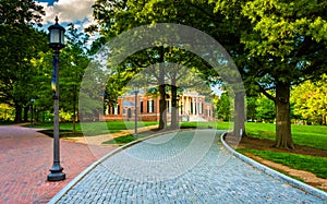 Road through John Hopkins University in Baltimore, Maryland. photo