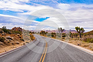 Road in Joshua Tree National Park California USA