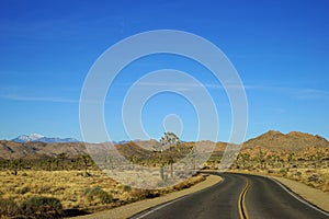 A road through Joshua Tree National Park with Quali Mountain top seen at the distance