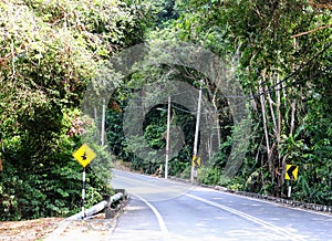 Road Through the jungle  Pangkor island