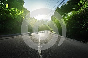 Road in jungle of Seychelles