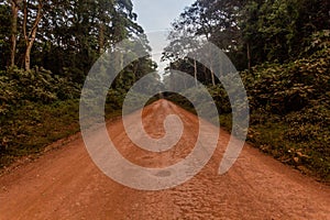 Road in Kakamega Forest Reserve, Ken photo