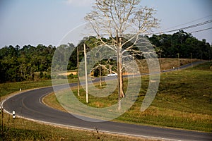 Road at Khao Yai National Park