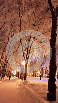 Road in Kharkiv park at winter - January 2017 Ukraine