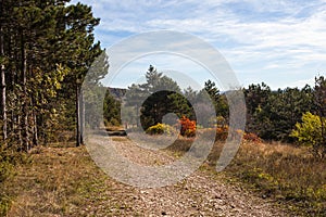 Road in the Kokos mountain