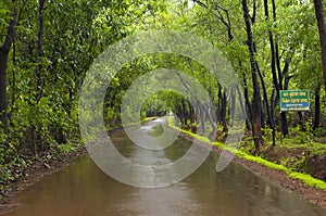 Road in konkan on a rainy day, India