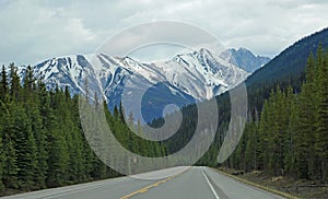 The road and Kootenay forest