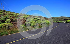 Road in the La Gomera