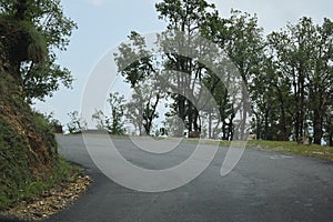 Road Landscape with tall trees, sky and road in uttarakhand india