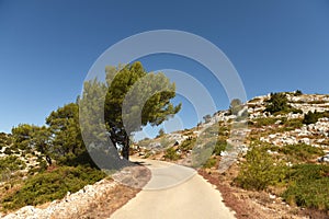 Road on Lastovo island, Croatia