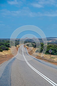 Road leading through australian bush landscape during spring