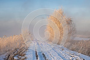 The road leading dike between the lakes during the frosty, foggy sunrise