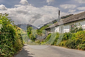 A road leading through a fields towards a forest and mountains.