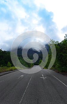 Road leading into jungle mountains