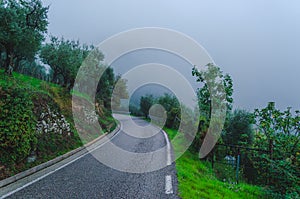 Road leading nowhere among olive groves in Tuscany Italy in the mist at the time of harvest