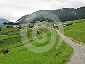 Road leading to Ftan village in the Lower Engadine, Switzerland