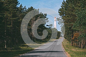 Road leading to lighthouse through pine forest