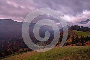 Road leading to Logar valley in Slovenia