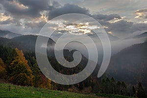 Road leading to Logar valley in Slovenia