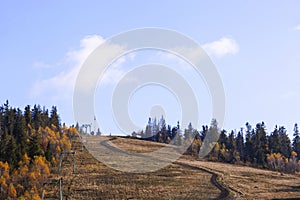 Road leading to the top of mountain. Hills covered with yellow trees and firs