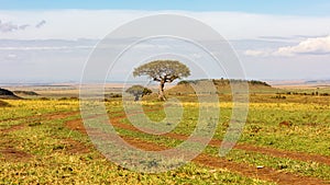 Road Leading to Tree in Kenya Open Field in