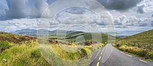 Road leading trough beautiful valley with green fields and farms, Dingle Peninsula